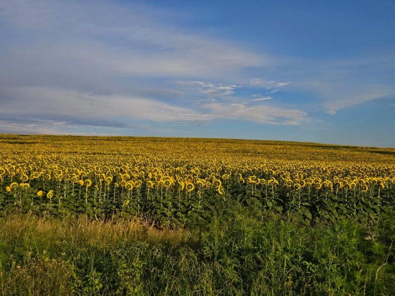 8 Bedroom Property for Sale in Bethlehem Rural Free State